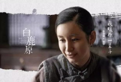 白鹿原电视剧在线观看免费,穿越历史的长河，探寻家族兴衰之谜