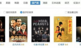 9国产精品视频,光影交织，展现时代风采