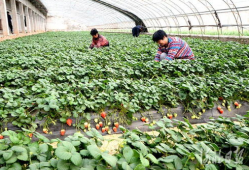 永年产业城吃瓜视频爆料,背后惊人真相曝光